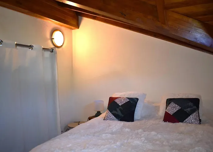 Duplex Chaleureux 3 Pieces Avec Mezzanine Pour - Fr-1-580-115 Apartment