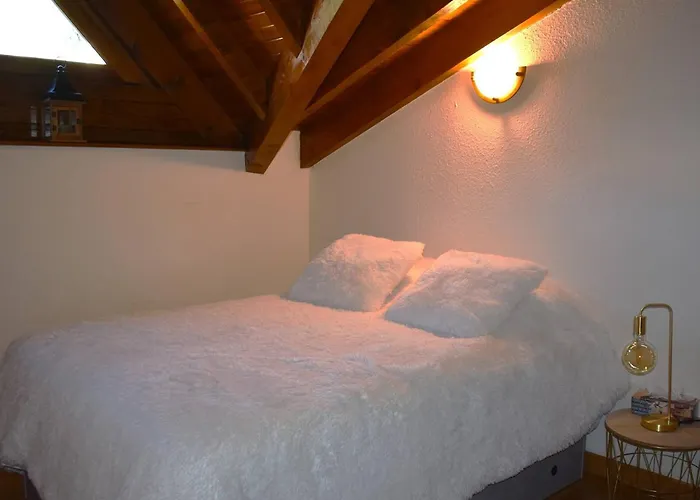 Duplex Chaleureux 3 Pieces Avec Mezzanine Pour - Fr-1-580-115 Apartment Font-Romeu-Odeillo-Via
